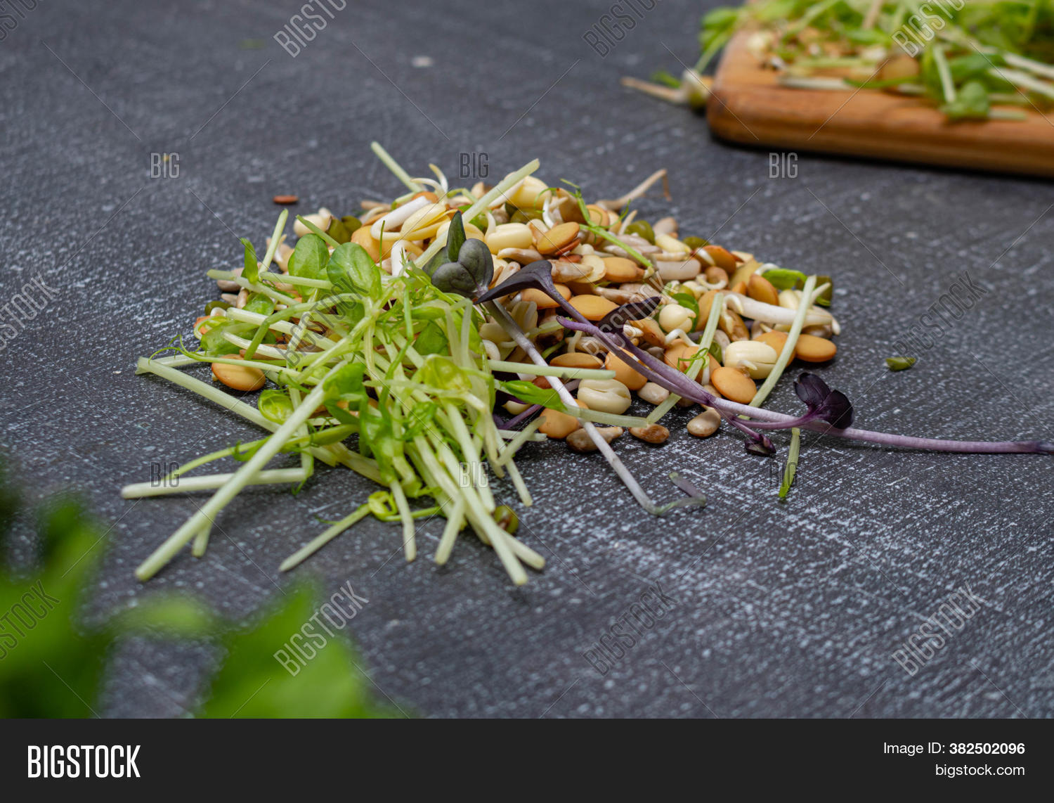 Mixed Sprouts Seeds Image & Photo (Free Trial) Bigstock