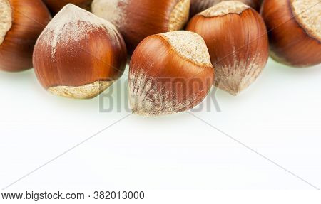 Hazelnuts, Filbert On White Background. Heap Or Stack Of Hazelnuts. Hazelnut Fruit Background, Healt