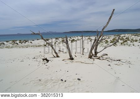 View Of The Arenas Biancas Beach And His Dunes, Teulada, Sulcis