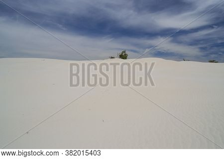 View Of The Arenas Biancas Beach And His Dunes, Teulada, Sulcis
