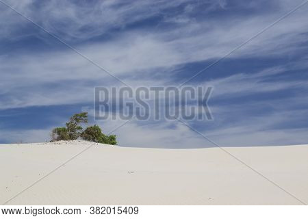 View Of The Arenas Biancas Beach And His Dunes, Teulada, Sulcis