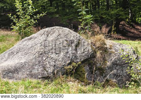 Stones In The Clearing Near The Shypot Waterfall
