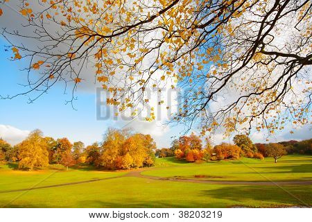 Bella, soleggiata autunno nel parco