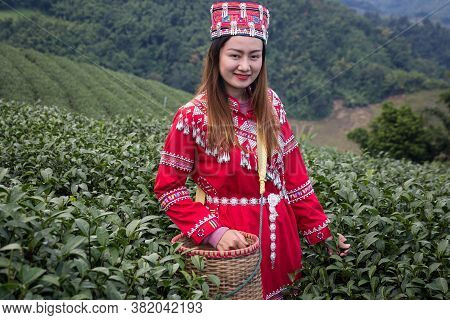 Thailand Trip Editorial