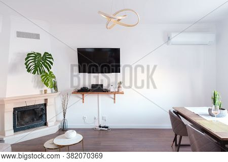 Living Room Of Dark Floor And White Walls With Minimal Decorations With Table And Mostera Deliciosa