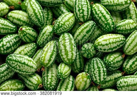 Fresh Green Cucamelon Background, Texture. Top View
