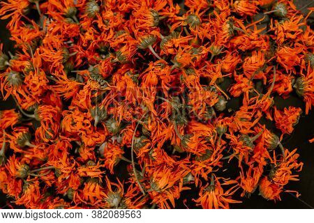 Medicinal Herbal Dried Plants Marigold, Orange Calendula.