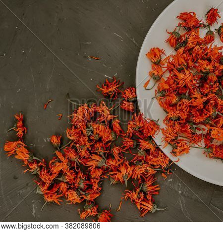 Dried Flowers In A Gray Plate, Orange Calendula.
