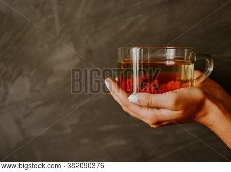 Tea Made From Marigold, Orange Calendula In Woman Hand
