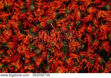 Medicinal Herbal Dried Plants Marigold, Orange Calendula.