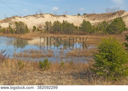 Wetland Pond Amidst The Dunes In Indiana Dunes National Park In Indiana