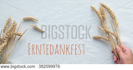 Erntedankfest Means Thanksgiving In German Language. Panoramic Flat Lay With Wheat Ears In Hand On W