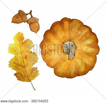 Watercolor Hand Drawn Set Of Orange Pumpkin View From Above, October Fall Autumn Leaves Lef And Oak 
