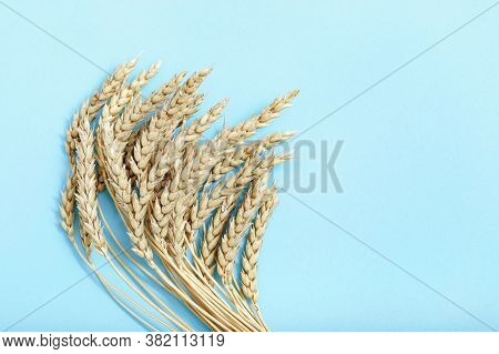 Bunch Of Compressed Stems With Ears. Golden Wheat On Yellow Paper Background. Wheat Close Up. Rich H