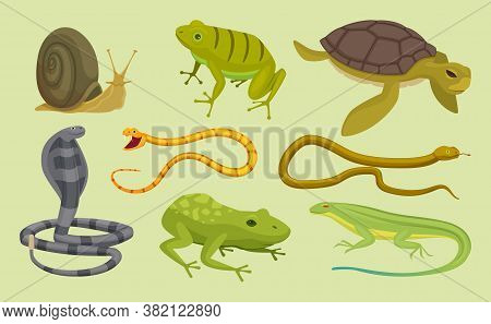 Reptiles Set. Lizard Snake Turtles Snail Cartoon Vector Wild Animals. Lizard And Turtle, Snake Anima