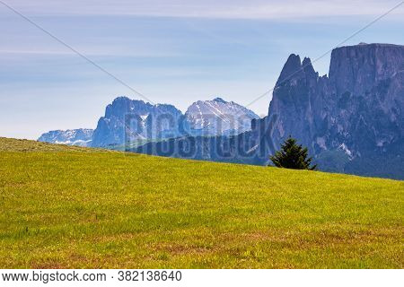 Beautiful Landscape View Of The Mountains In South Tyrol With Mixed Pine And Deciduous Forest, Renon