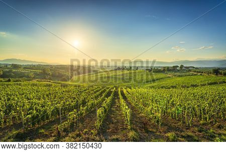 Chianti Vineyards And Panorama At Sunset. Cerreto Guidi, Tuscany, Italy Europe.