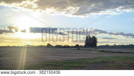 Late Afternoon Landscape On A Farm In The State Of Rio Grande Do Sul In Brazil