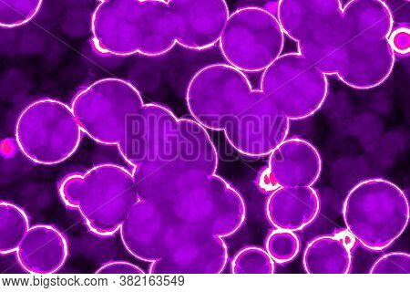 Amazing Design Bright Bio Luminescent Lights Pattern Digitally Made Background Or Texture Illustrati