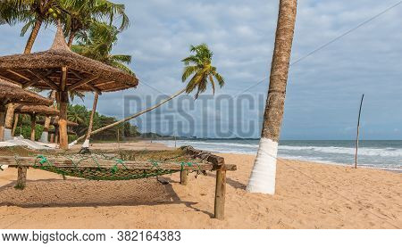 Africa Tropical Beach With Palm Trees And Sun Loungers Standing Empty, The Beach Is Located On Ghana