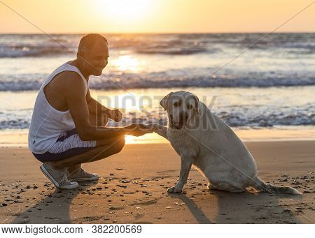 Cyprus - November 11, 2019: Person And Dog Together On The Seashore. Friendship Between Dog And Man