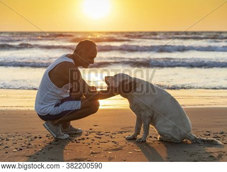 Cyprus - November 11, 2019: Person And Dog Sitting Together On The Seashore. Friendship Between Dog 