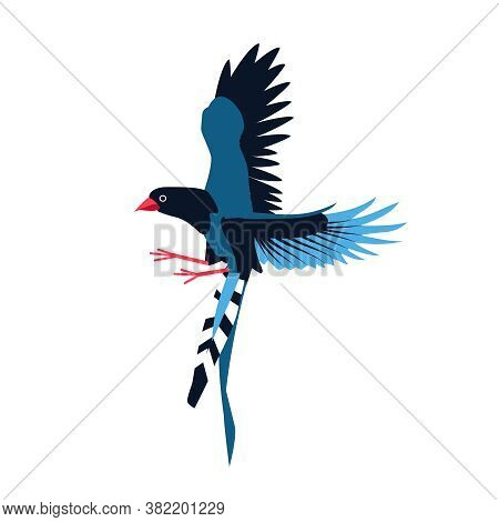 Bright Flying Exotic Bird. Beautiful Birdie With Colored Feathers And Wings. Tropical Nature Wildlif