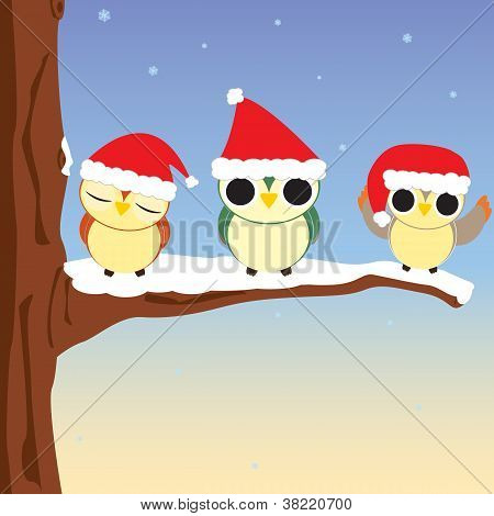 Xmas sovy