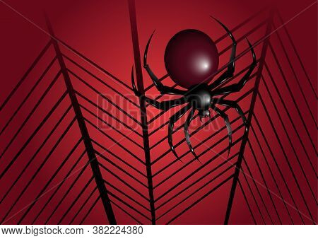 Halloween Spider Illustration. Spider Background. Halloween Web And Spider Illustration.