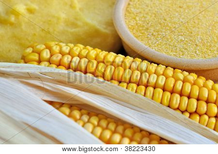 Polenta majs mel