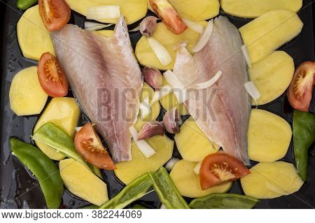 Uncooked Baked Sea Bream Fish Fillets With Tomatoes And Green Peppers.