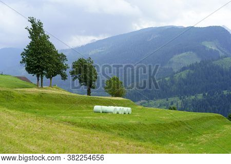 Mountain Landscape Near Cavalese In The Fiemme Valley, Dolomites, Trentino Alto Adige, Italy, At Sum