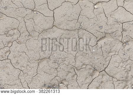 Background Of Cracked Clay After A Rainshower And Hot Sun