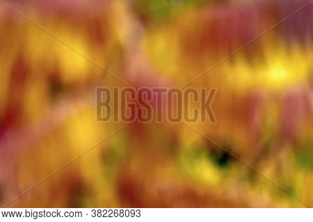 Nature Beauty Natural Image Photo Free Trial Bigstock