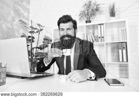 Reception Room. Respectable Ceo. Man Handsome Boss Sit In Office Drinking Coffee. Comfy Workspace. B