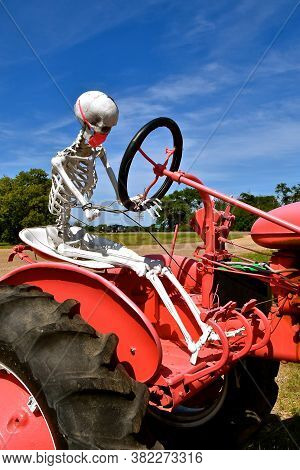 A Skeleton With A Covid-19 Mask Is Steering An Old Red Tractor.