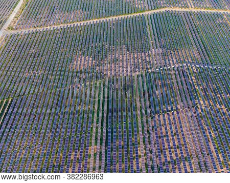 Aerial View Of The Solar Panel In Solar Farm For Green Energy