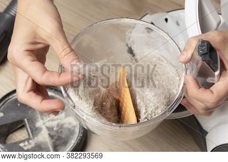 Cat Or Dog Dust, Animal Hair And Fur In Women Hands. Cleaning The Container After Using The Vacuum C