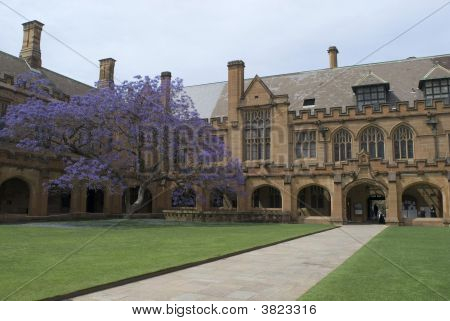 Sydney University czworoboku