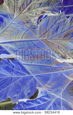 Karhu polvihousut Leaf