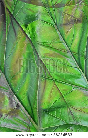 Karhu polvihousut Leaf