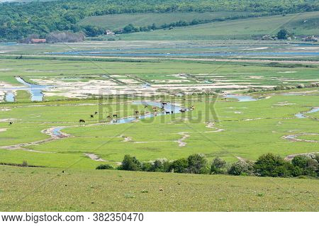Cuckmere River Near Seaford, East Sussex, England