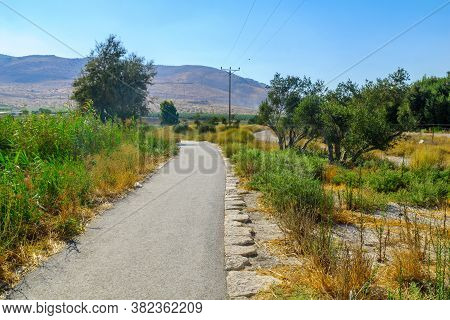View Of A Footpath In The Spring Valley Park (park Hamaayanot), Northern Israel