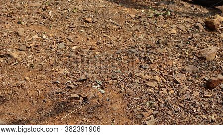 Granular Dark Brown Soil Found In The Dry Land Of Deccan.