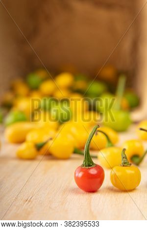 Colored Peppers Fallen From A Basket On A Table, Selective Focus.
