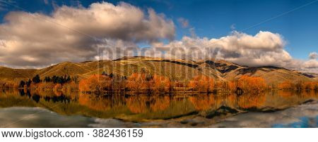 Autumn Colour In The Lakeside Trees Under A Blanket Of Cloud At Wairepo Arm Twizel