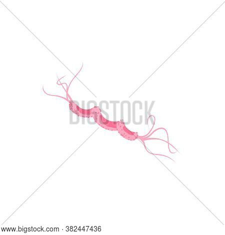 Bacterial Flagellum Microscopic Germ. Epidemic Pathogenic Microorganisms, Viruses, Protozoa, Disease