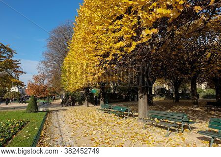 Paris, France - November 2017: Romantic And Beautiful Autumn Scenery Of Paris