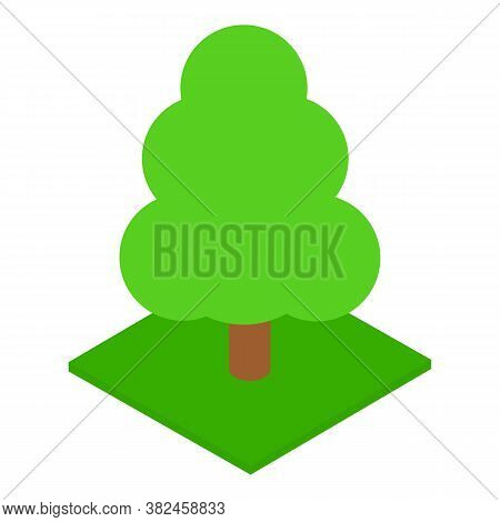 Tall Tree Icon. Isometric Illustration Of Tall Tree Vector Icon For Web