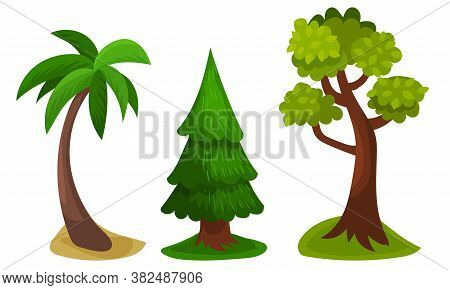 Tree With Exuberant Green Foliage And Trunk Vector Illustration